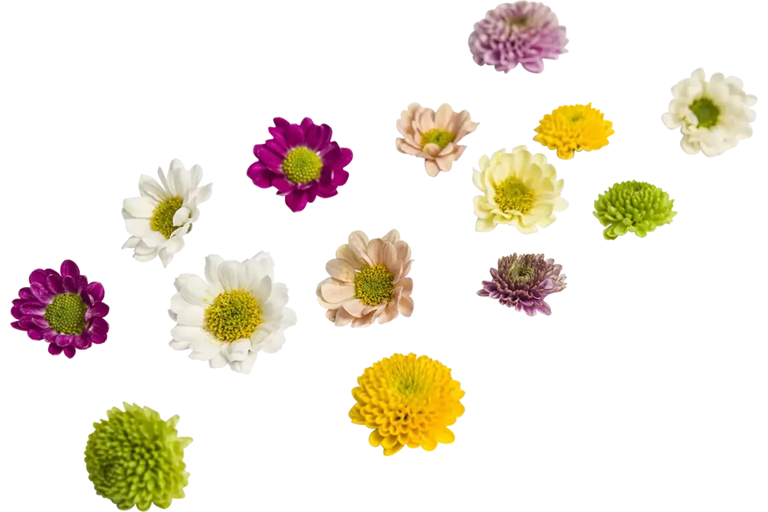 Bloem mix klein bloemig 35st stuk 1